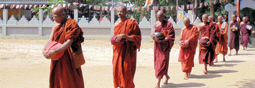 Venerable Monks of Ariyadhamma Monestery